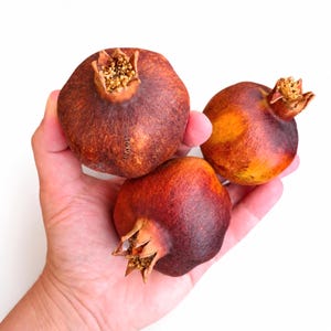 Natural Dried Pomegranates Set of 3, Scandi Decor, Eco Florist Supply