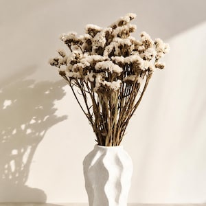 Peut inclure: Un vase blanc texturé contient un bouquet de fleurs séchées. Les fleurs ont des tiges brunes et des fleurs duveteuses blanc cassé. Le vase présente un design ondulé vertical et repose sur une surface neutre.