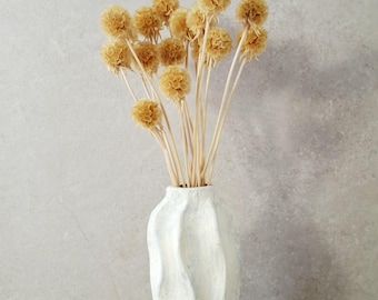 Verzweigte, getrocknete Skabiosen, naturbeige Skabiosen, 35–40 cm lange Stiele, neutrale Trockenblumen, Boho-Dekoration, Füllmaterial für Brautsträuße