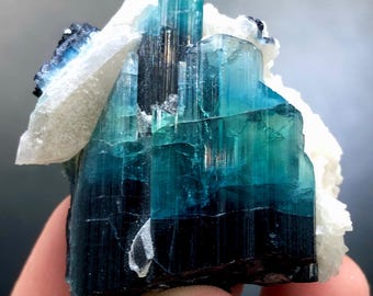 May include: A vibrant, natural tourmaline crystal cluster. The gemstone features a striking gradient of deep teal to black, with a clear, vertical structure. White quartz accents the base and sides, creating a beautiful contrast. The crystal is held in a hand.