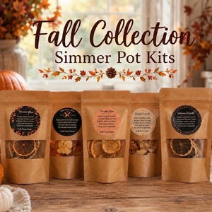 May include: Five brown kraft paper pouches labeled Fall Collection Simmer Pot Kits, each containing dried fruit and spices visible through a clear window. The circular labels feature text including Harvest Glow, Fall Vibes, Pumpkin Spice, Cozy Comfort, and Autumn Wreath.