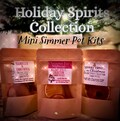 Holiday Spirits Collection Mini Simmer Pot Kits