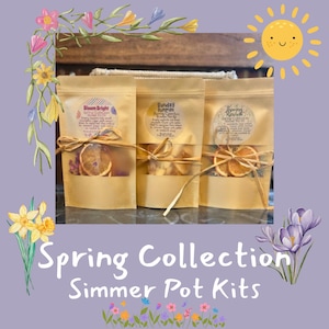 May include: Three kraft paper bags tied with twine, each containing dried botanicals and citrus slices. The bags are labeled "Bloom Bright", "Sunday Sunrise", and "Spring Revival". The image is framed with floral illustrations and the text "Spring Collection Simmer Pot Kits".