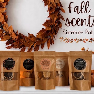 Seasonal Fall Simmer Pot Kit - Natural Home Fragrance with Dried Fruits & Spices