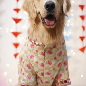 Dog Sherwani: Cream Floral Mirror-Work Indian Wedding Outfit