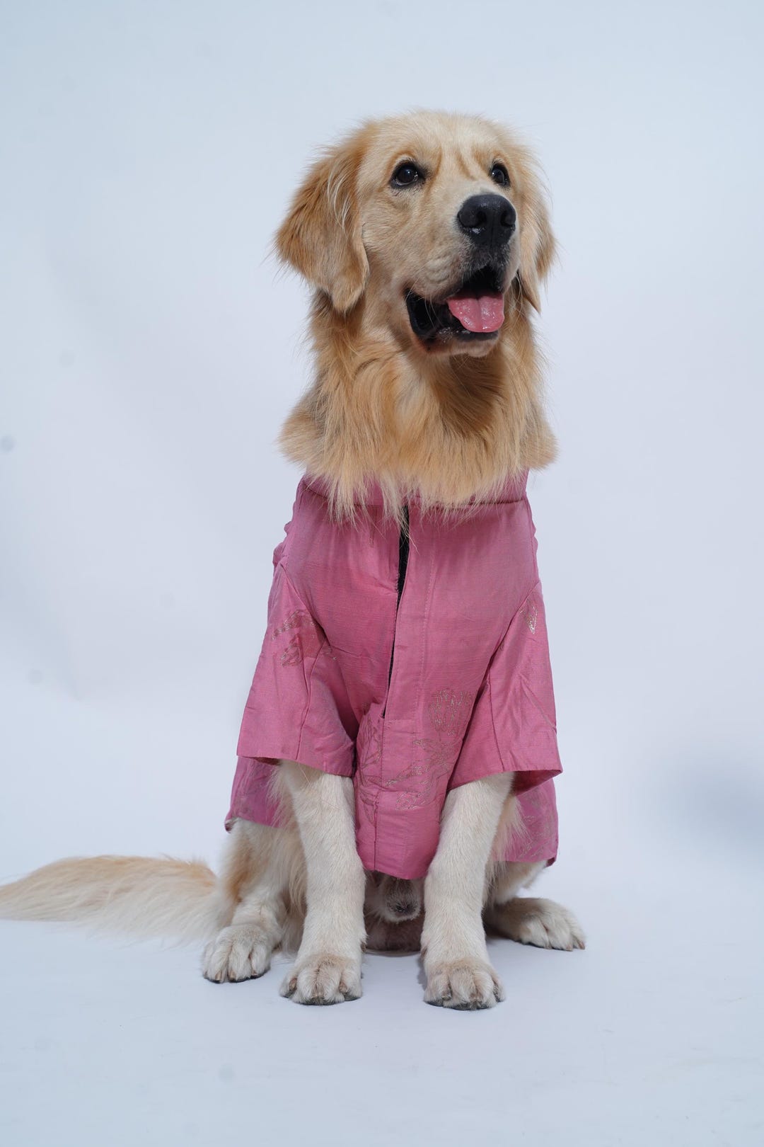Pink Sherwani For Dog