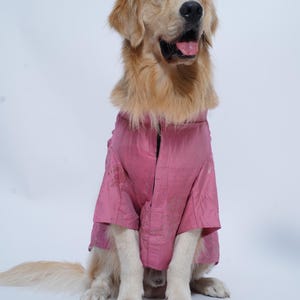 Pink Raw Silk Dog Sherwani: Indian Wedding Festive Outfit