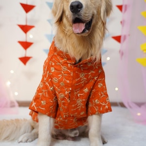 Dog Sherwani: Orange Zari Embroidered Indian Wedding Outfit