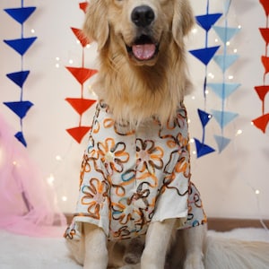 Ribbon Embroidered Dog Kurta: Indian Wedding Festive Outfit