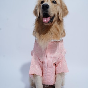 Pink Chikankari Dog Sherwani: Indian Wedding Outfit with Mirror Collar