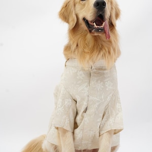 White Cotton Dog Kurta: Embroidered Indian Wedding Outfit