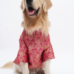 Pink Chikankari Dog Sherwani: Indian Wedding Outfit with Mirror Collar