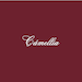 Camellia NYC