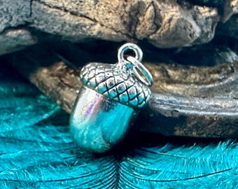 May include: A silver acorn charm with a detailed textured cap. The charm is on a blue background.