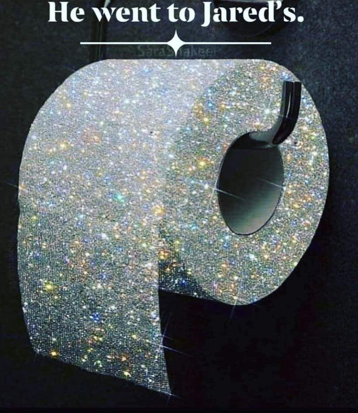 Viral Rhinestone Bling Toilet Paper Earrings He Went to JAREDS Etsy
