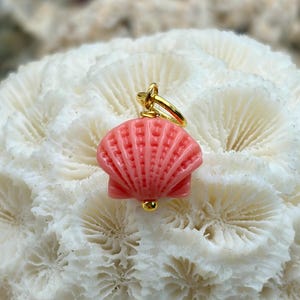 May include: A coral-coloured seashell pendant with a gold-coloured bail and a small gold bead at the bottom. The pendant is set against a white, textured background. The seashell design is detailed with ridges.