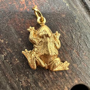 May include: A gold-coloured frog charm pendant. The frog is sitting with its legs outstretched and has a detailed, textured surface.