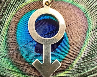 Vintage Raw Brass MALE GENDER SYMBOL Charm For Necklace Pendant Gold Stamping Gift For Him Man Biological Sign