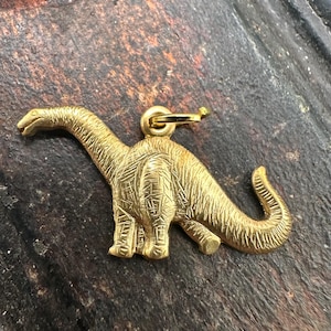 May include: A gold-colored dinosaur charm pendant. The charm is detailed with textured scales and has a loop for attaching to a necklace or bracelet.
