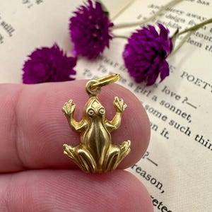 May include: A gold-colored frog charm with outstretched arms and legs. The charm is suspended from a small loop. The background includes purple flowers and text from a book.