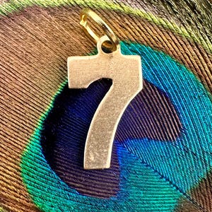 May include: A gold-colored number 7 charm with a small loop for attaching to a necklace or bracelet. The charm is set against a backdrop of a peacock feather, with shades of blue, green, and brown.