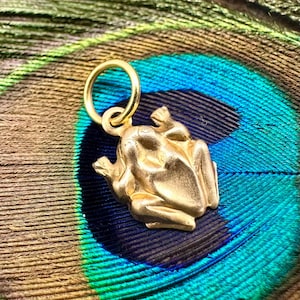 May include: A gold-colored frog pendant with a small frog on its back. The pendant has a loop for a chain and is set against a peacock feather background.