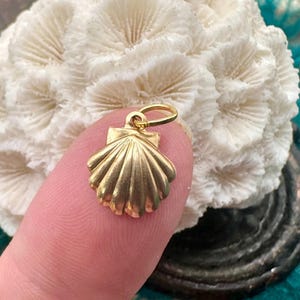 以下が含まれることがあります： 金色の貝殻のチャームペンダント。チャームは、隆起した部分と滑らかな仕上げで詳細に作られています。