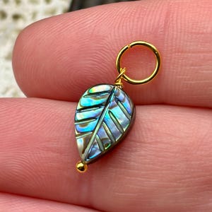 Puede incluir: Un colgante con forma de hoja tallado en concha de abulón iridiscente con un patrón de nervaduras. El colgante está unido a una pequeña anilla de metal dorado y cuenta con una diminuta cuenta de metal dorado en la punta inferior.