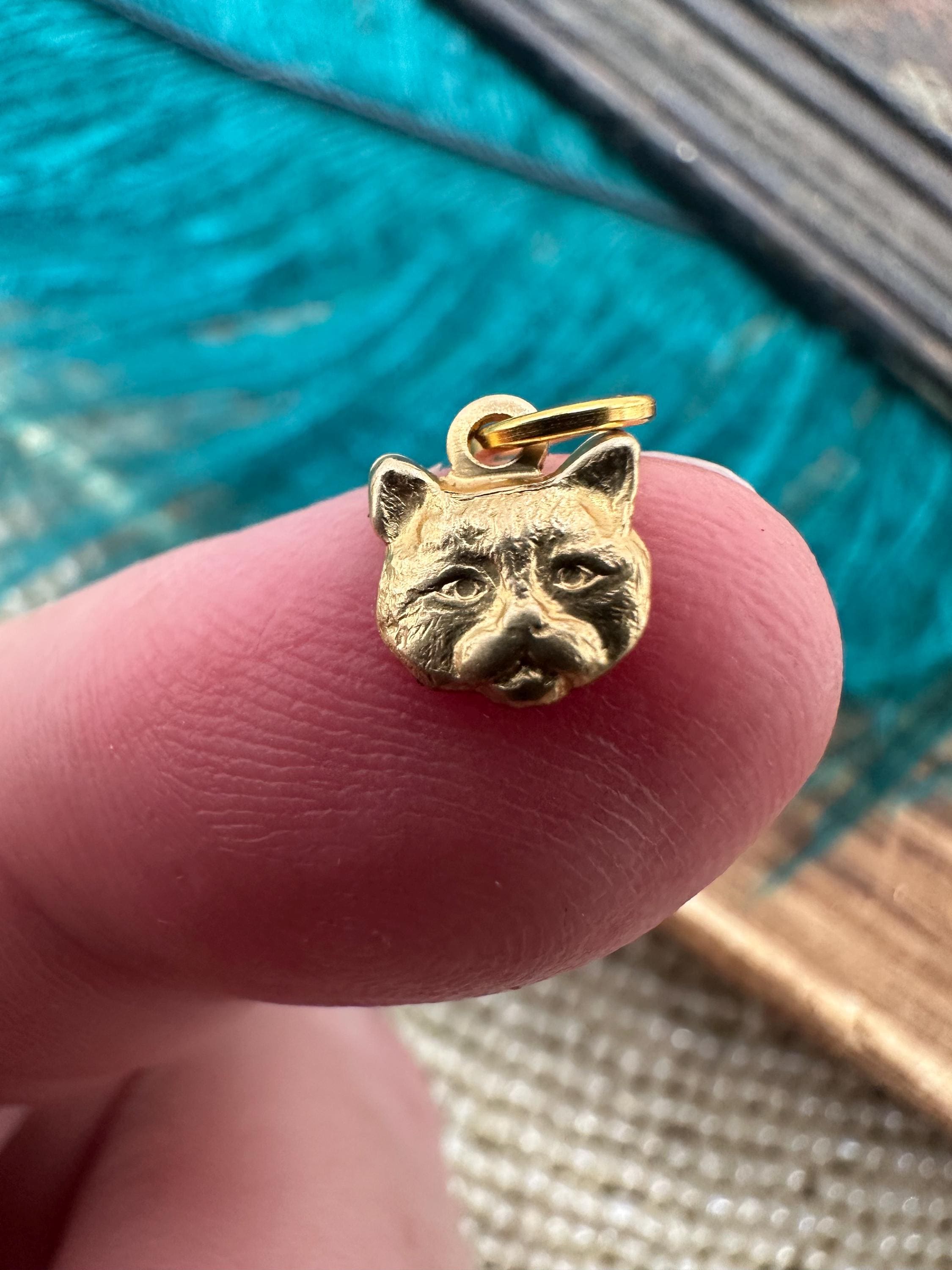 Bead Charm Pandora Fortune Cat Charm Lucky Cat Charm 925 Sterling