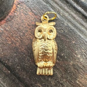 May include: A gold-colored owl charm pendant. The owl is detailed with feathers and has a round loop at the top for attaching to a chain or bracelet.
