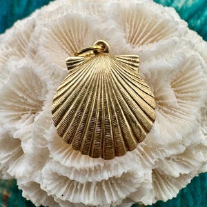 May include: A gold-colored seashell charm pendant. The seashell is detailed with ridges and has a smooth, polished finish.