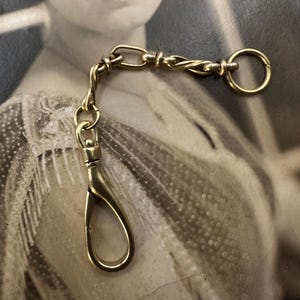 May include: A gold-toned chain with a twisted link design and a hook clasp. The chain is attached to a small, round ring.