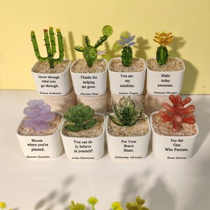 May include: A collection of small, decorative succulent and cactus plants in white square pots. Each pot has a different plant design and a motivational quote. The plants are in a variety of colors, including green, purple, and orange.