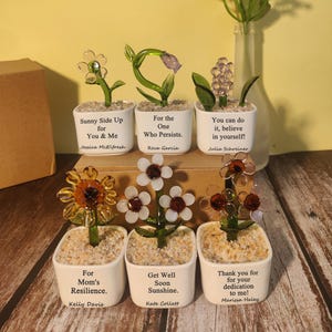 May include: A selection of glass flower ornaments in small white pots. Each pot features a unique message, including "Sunny Side Up for You & Me" and "Get Well Soon Sunshine." The flowers are in diverse colours and designs.