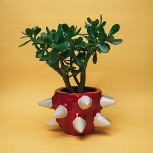 Handmade Sculptural Ceramic Vase - Bold Funky Pottery