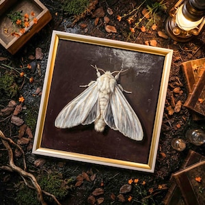Corpse Candle Moth Oil Painting | Baroque Entomology Art, Dark Academia Victorian Curiosities (Digital Download)