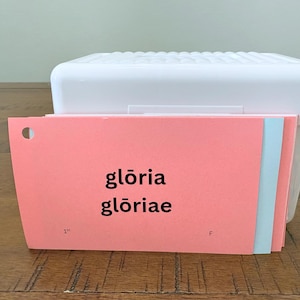 Challenge A - Classical Conversations Henle Latin 1 Flash Cards - Digital File