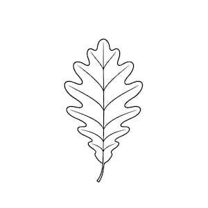 May include: A black and white line drawing of an oak leaf. The leaf has a lobed shape with prominent veins, and a small stem at the base. The image is a simple, clean illustration.