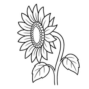 May include: Black and white line art illustration of a sunflower. The sunflower is in profile, showing the petals, center, stem, and leaves. The image is a simple, graphic representation of the flower.