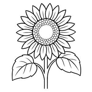 May include: Black and white line drawing of a sunflower. The sunflower has a large central disc with many small circles, surrounded by numerous petals. Two large leaves are visible at the base of the stem.