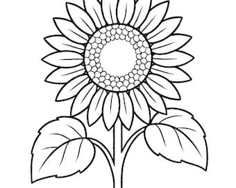May include: Black and white line drawing of a sunflower. The sunflower has a large central disc with many small circles, surrounded by numerous petals. Two large leaves are visible at the base of the stem.