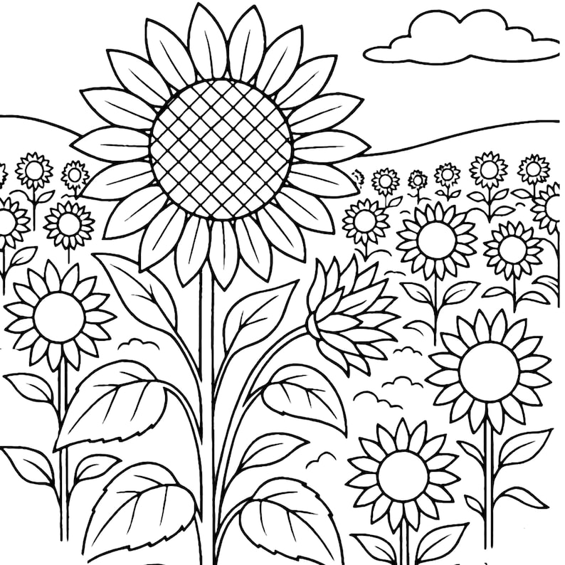 May include: Black and white line drawing of a field of sunflowers. The image features a large sunflower in the foreground, with several smaller sunflowers in the background. A cloud is in the sky.