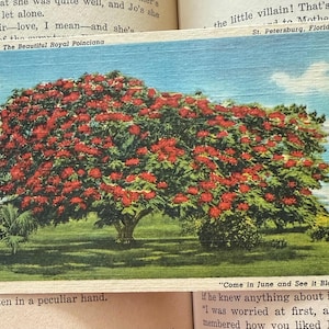Vintage Unused Linen Postcard