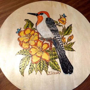 12&quot; Rustic Wood Burned Colored Song Bird -- Red-Bellied Woodpecker Wall Plaque Signed -- Lightweight Wall Decor for All Ages