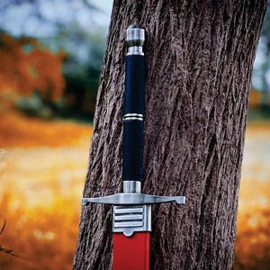 May include: A medieval sword with a black handle and a red blade is leaning against a tree. The sword has a silver crossguard and pommel. The background is blurred, with autumn colors.