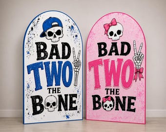 Bad Two The Bone Birthday Backdrop 2nd Birthday Decor Skull Rocker Birthday Cake Smash Backdrop Terrible Twos Party Photo Booth Backdrop