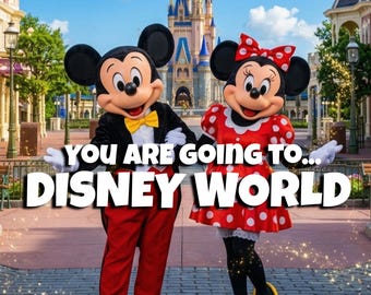 Disney Reveal Video - Disney World Florida - Magical Trip Reveal