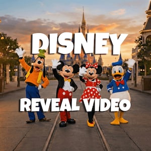 May include: Image showing Disney characters Goofy, Mickey Mouse, Minnie Mouse, and Donald Duck waving. The background features a castle. The words "DISNEY" and "REVEAL VIDEO" are in white text.