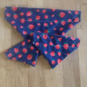 Dog bandana
