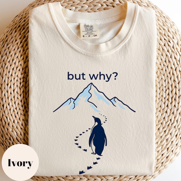 Viral Penguin Meme Shirt, But Why Lonely Penguin Tee, Nihilist Sad Penguin Graphic Sweatshirt